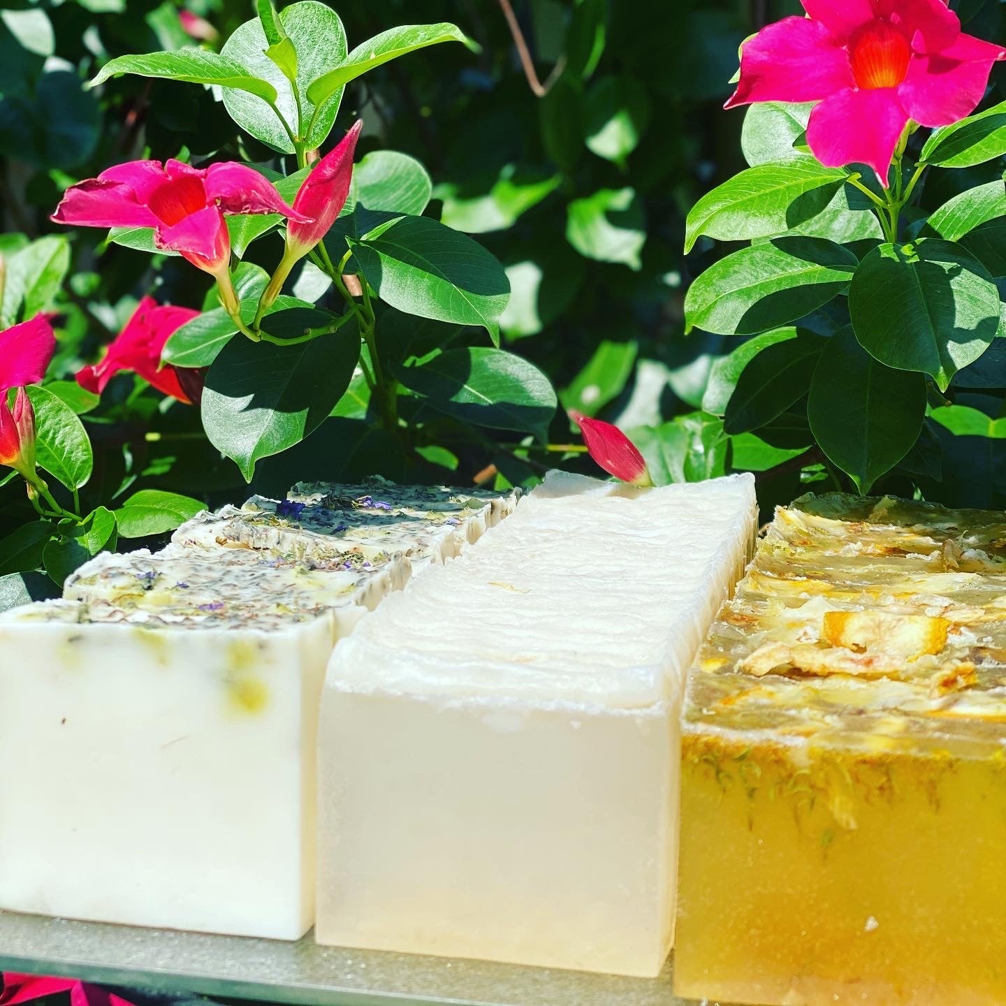 Tea Tree Oil Sea Moss Soap